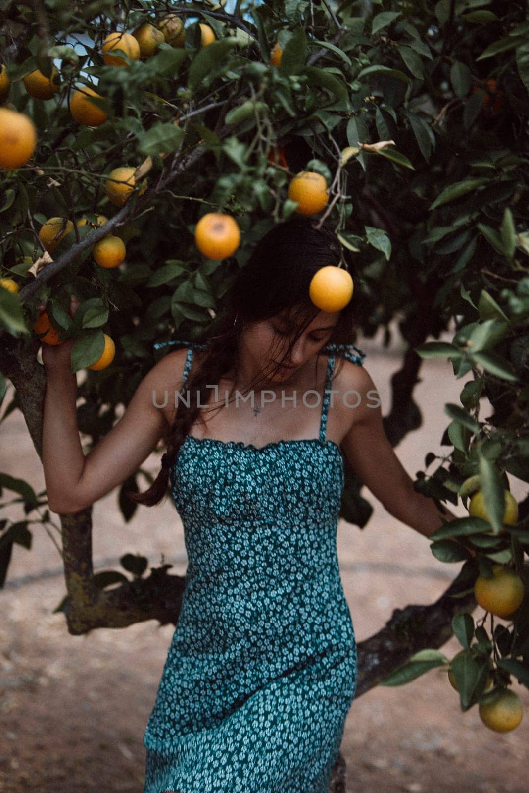 A woman in a blue summer dress surrounded by ripe fruits on an orange orchard, creating a serene and pastoral scene