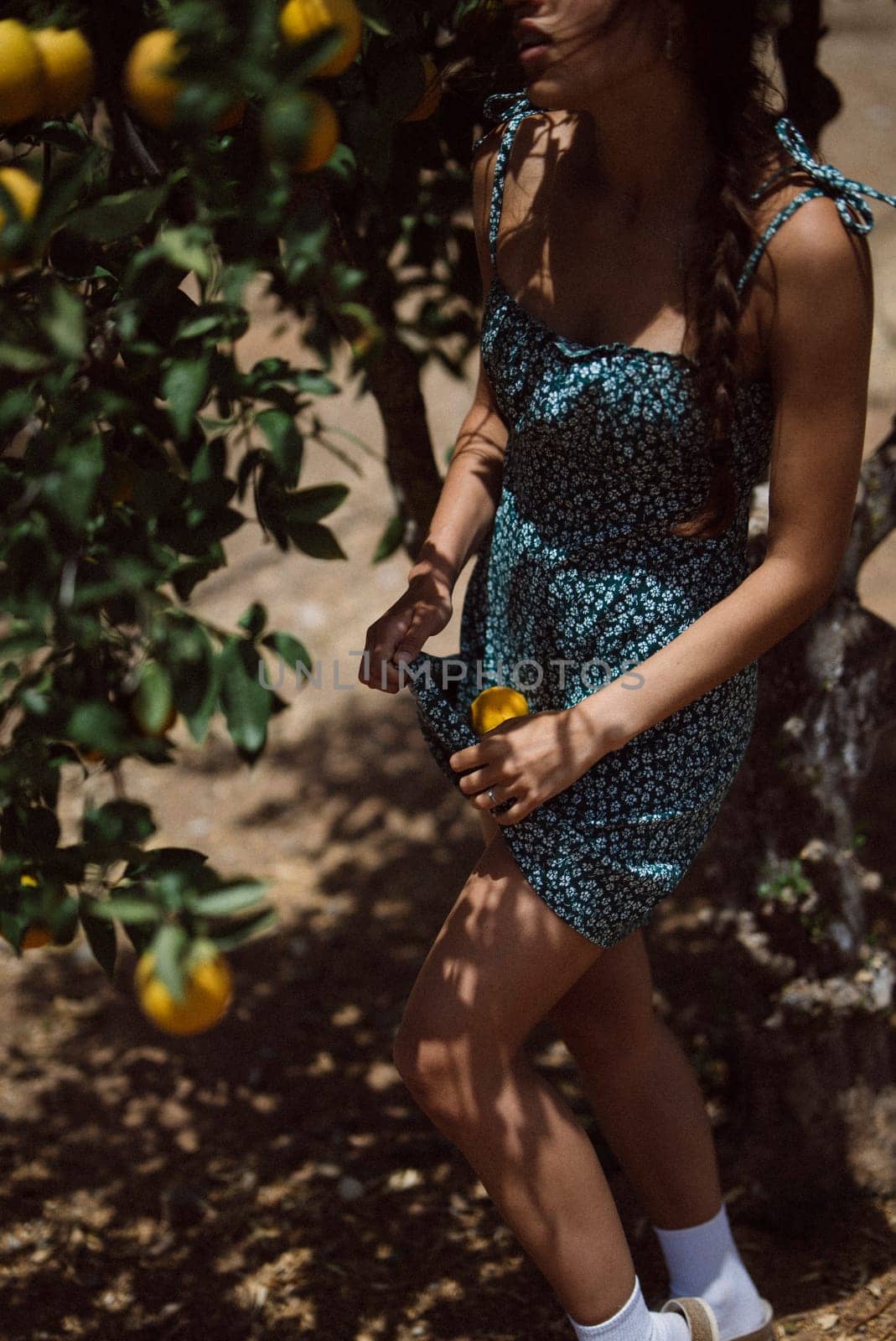 Woman in a summer dress holds an orange while standing in the shade of an orange tree in an orchard.