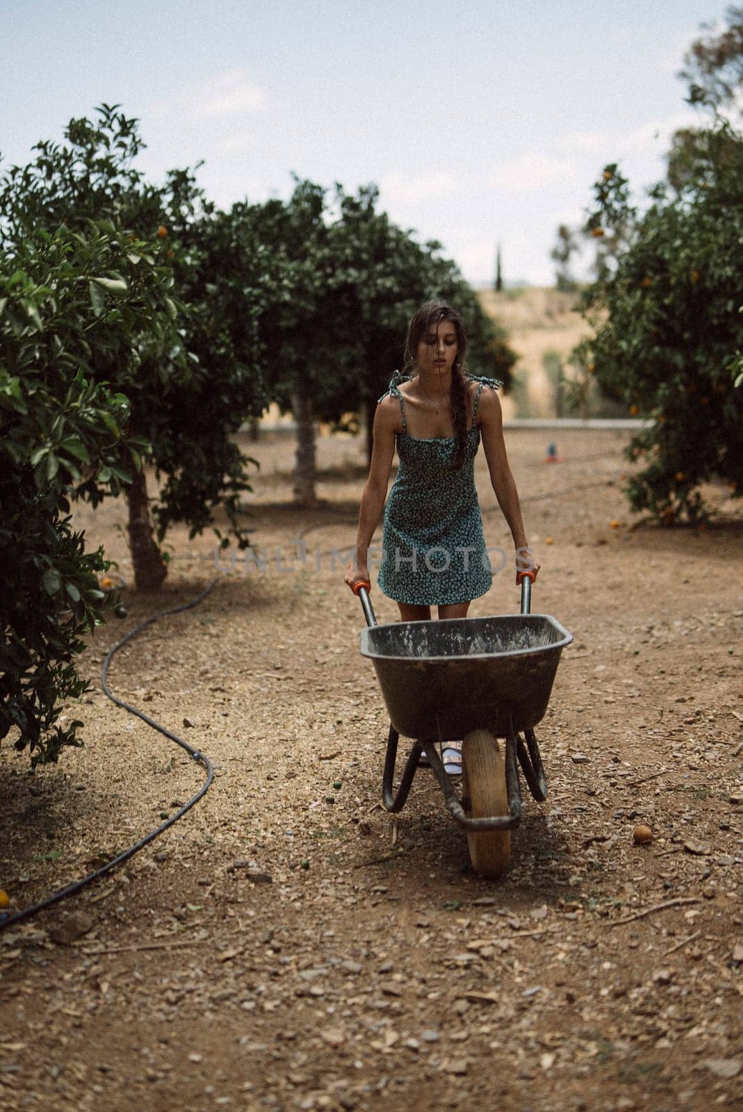 A woman pushes a wheelbarrow in a sunny garden during summer, showcasing outdoor work and labor in nature