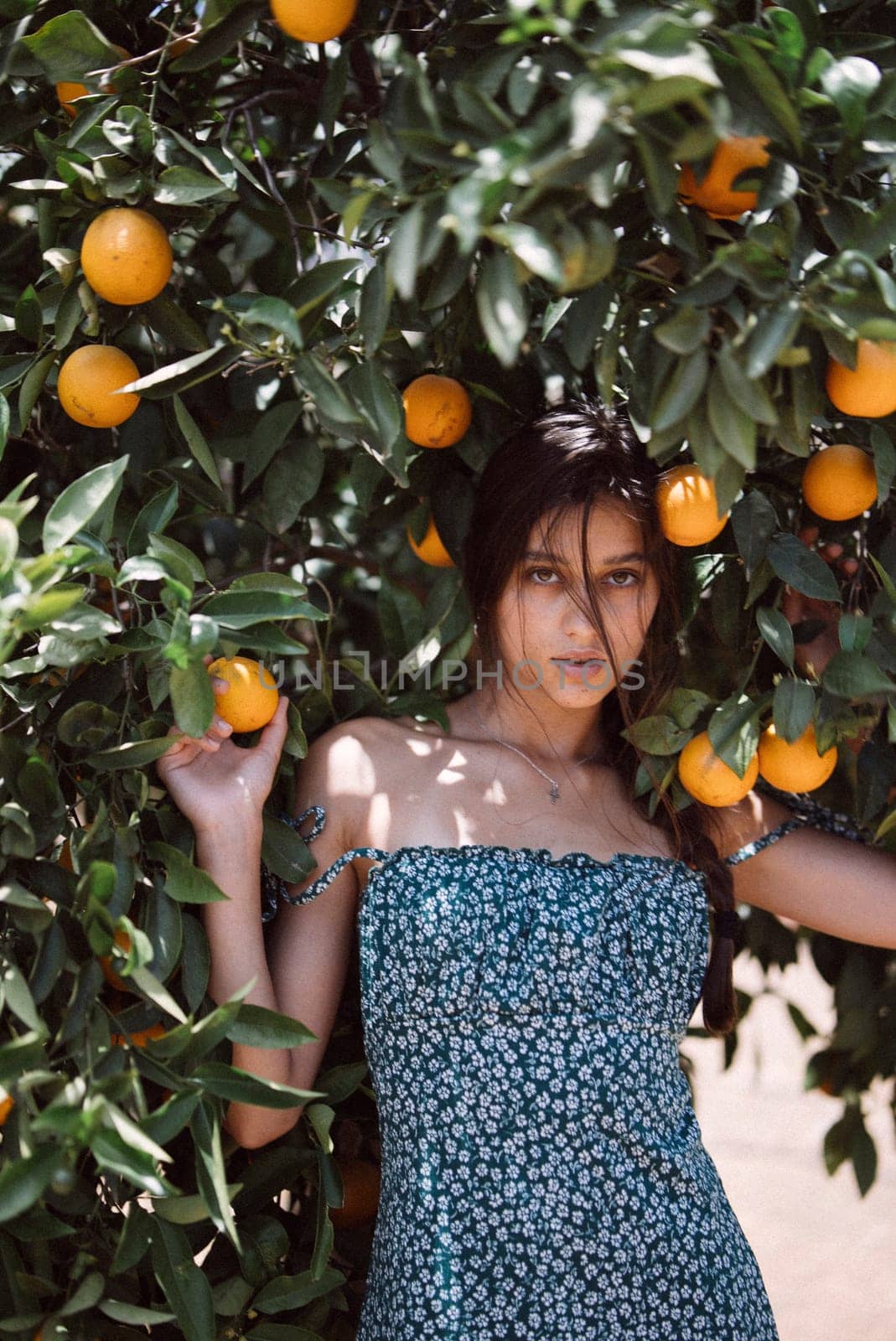A stylish young woman in an elegant outfit is posing outdoors on a sunny day in front of an orange tree background