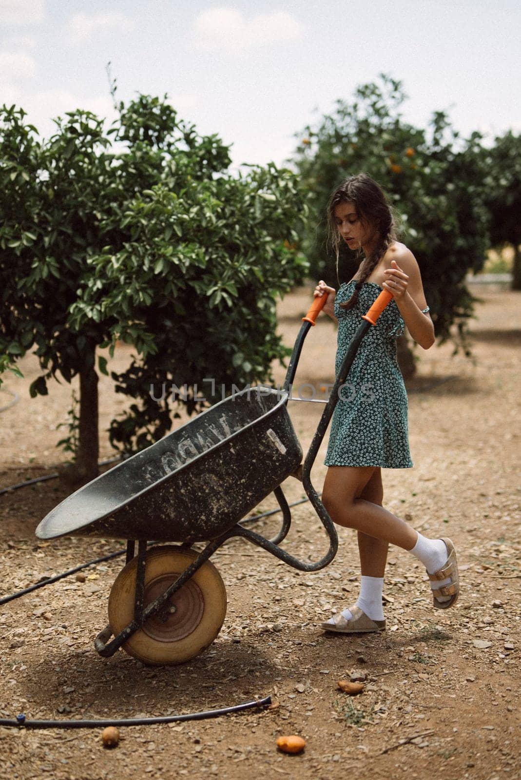 A woman in a green dress with braids pushes a wheelbarrow through an orchard, doing agricultural work on a sunny day