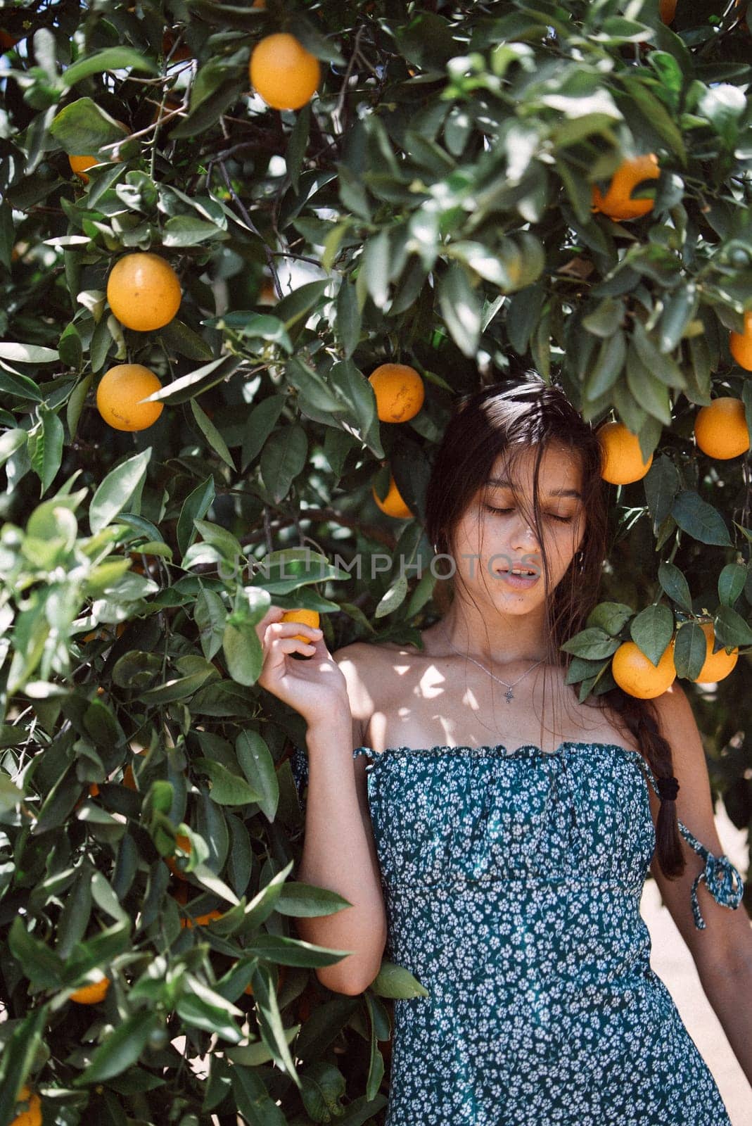 Young woman in blue dress stands near orange tree, emanating natural vibes and tranquility on sunny day