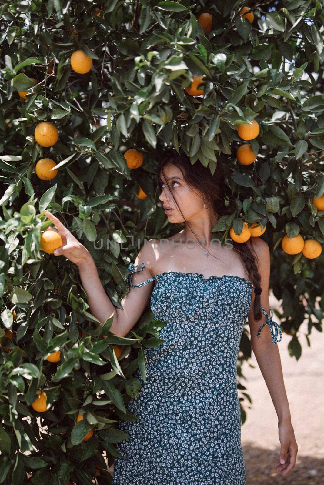 Woman in floral dress picking oranges in orchard, surrounded by greenery, enjoying a harmonious moment in nature