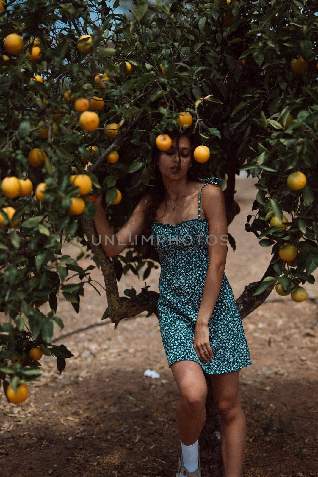 In a sunny orchard, a young woman in a blue dress stands among orange trees, portraying a serene and organic setting