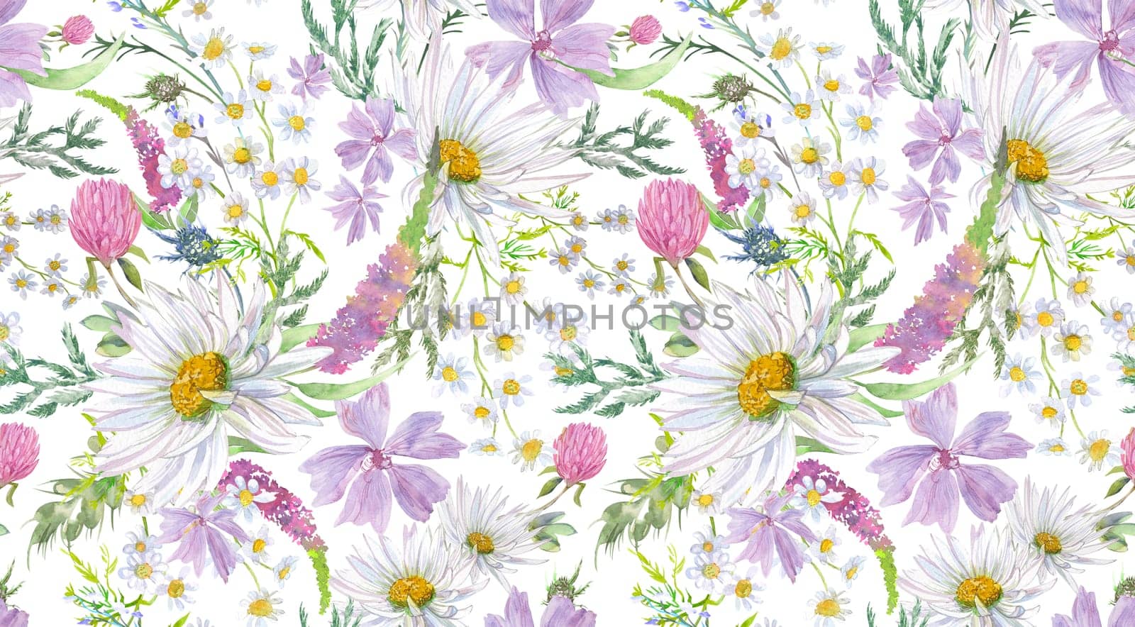 Summer seamless pattern with daisy clover flowers and other wildflowers drawn
