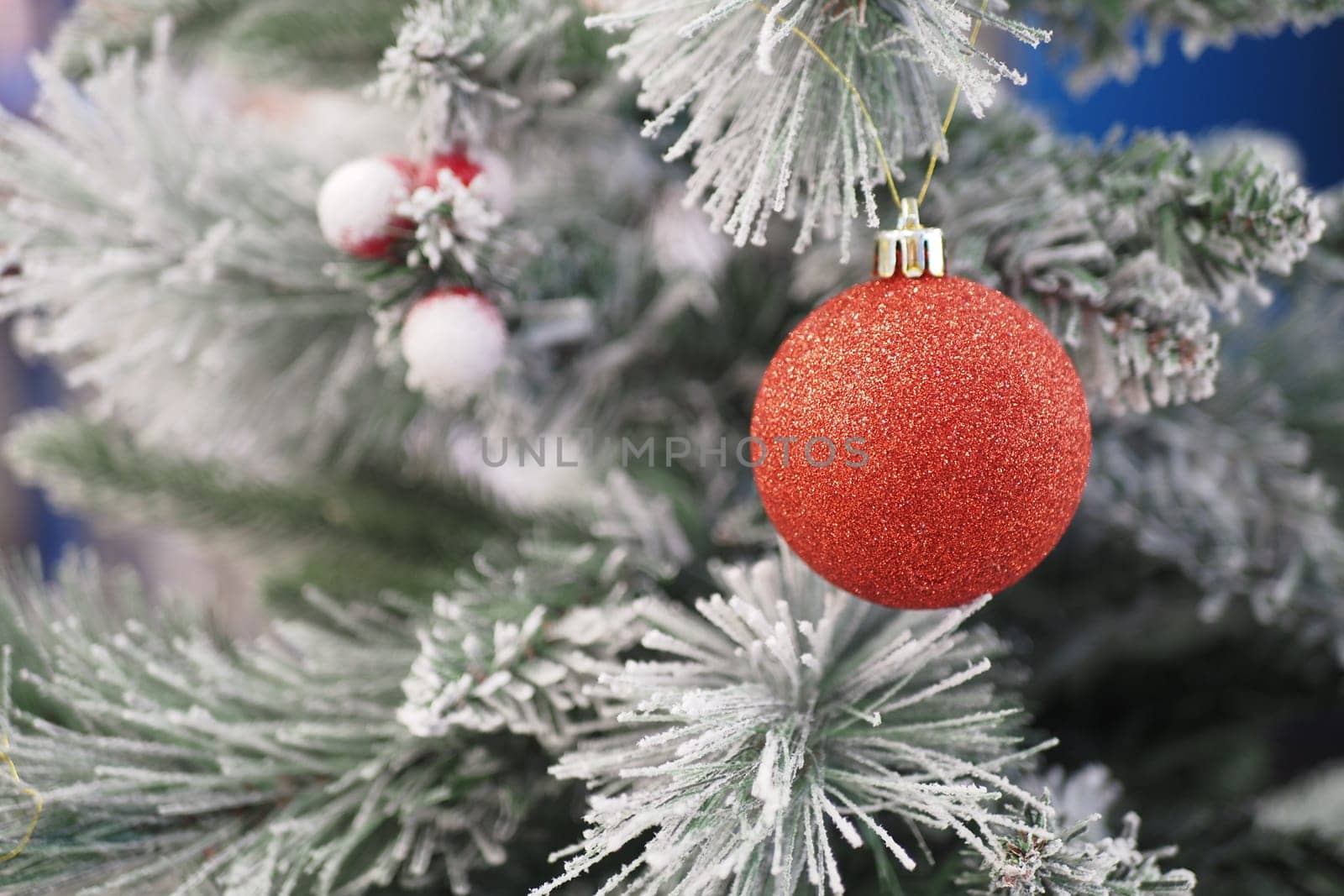 Vibrant red bauble on a frosted pine tree branch, evoking holiday spirit and festive cheer