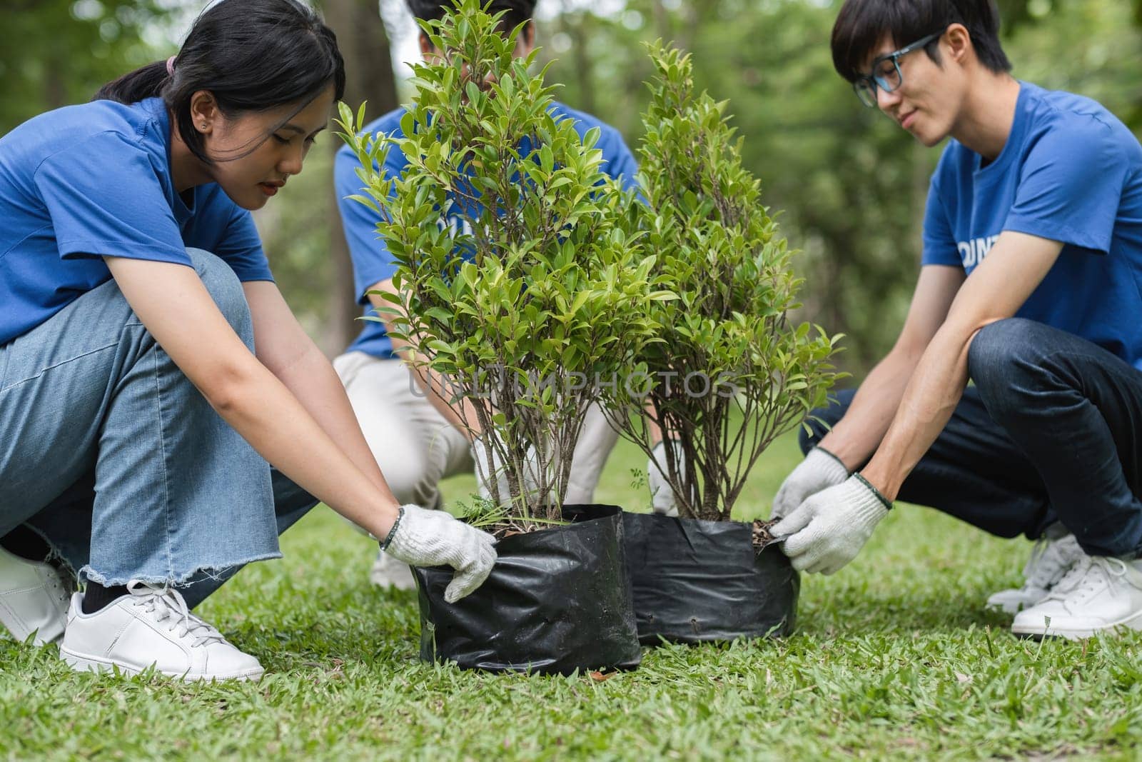 Volunteer Team Planting Trees in a Park to Promote Environmental Conservation and Community Engagement by wichayada