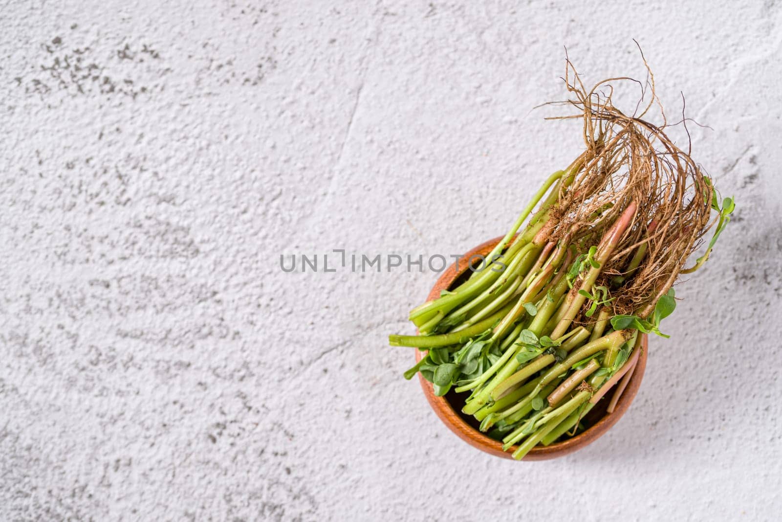 Natural purslane stems and grounded roots on white stone table by Sonat