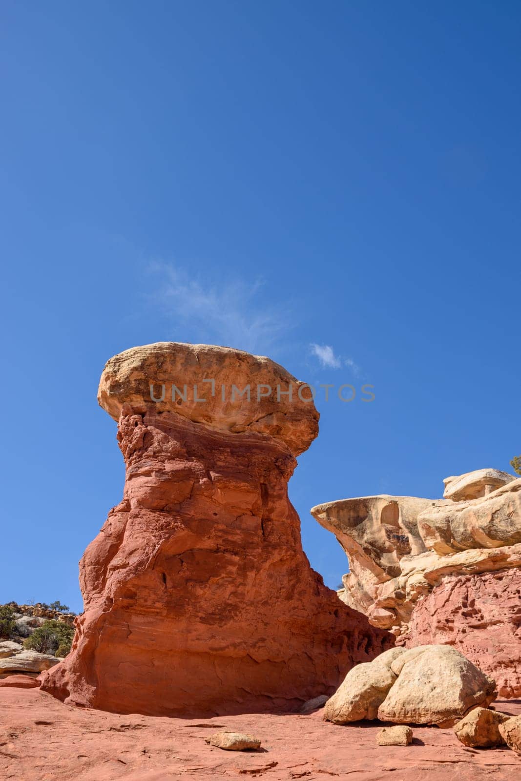 Beautiful view of a unique sandstone rock formation in Cohab Canyon, located within Capitol Reef National Park, Utah. The clear blue sky enhances the dramatic, natural landscape - USA