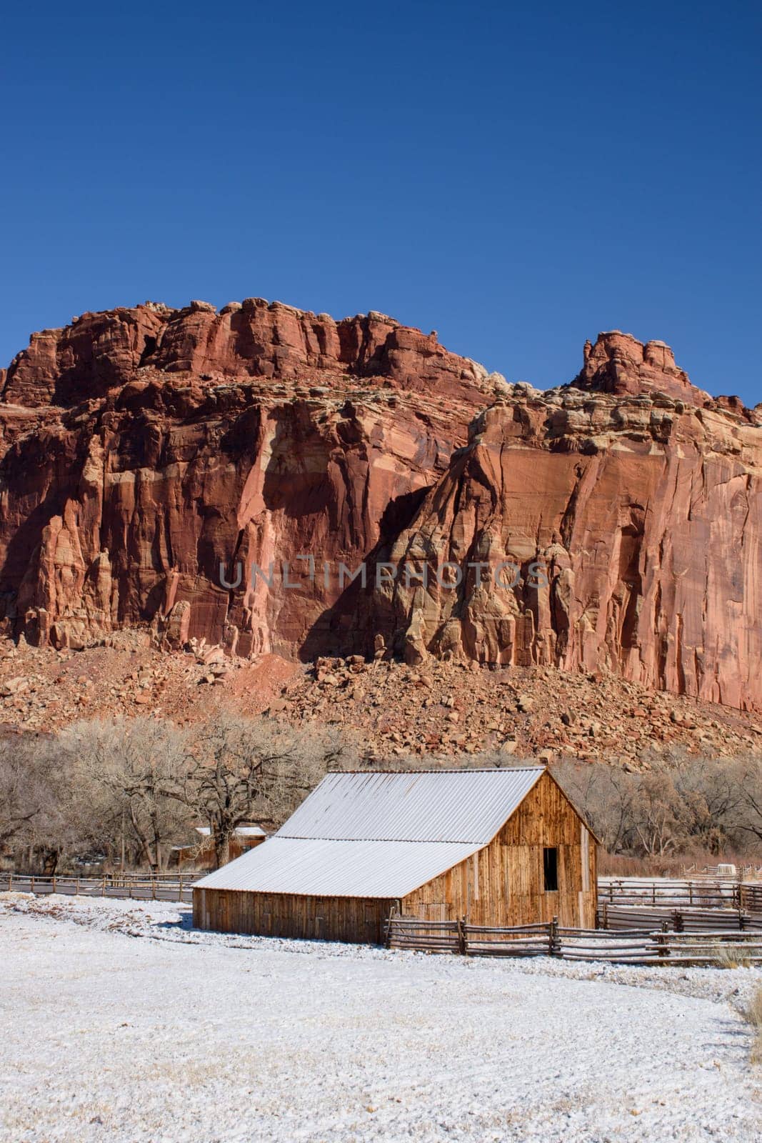 Serene winter scene of a historic wooden barn in Fruita, within Capitol Reef National Park in Utah. The snow-dusted landscape contrasts with the striking red rock cliffs under a bright blue sky - USA