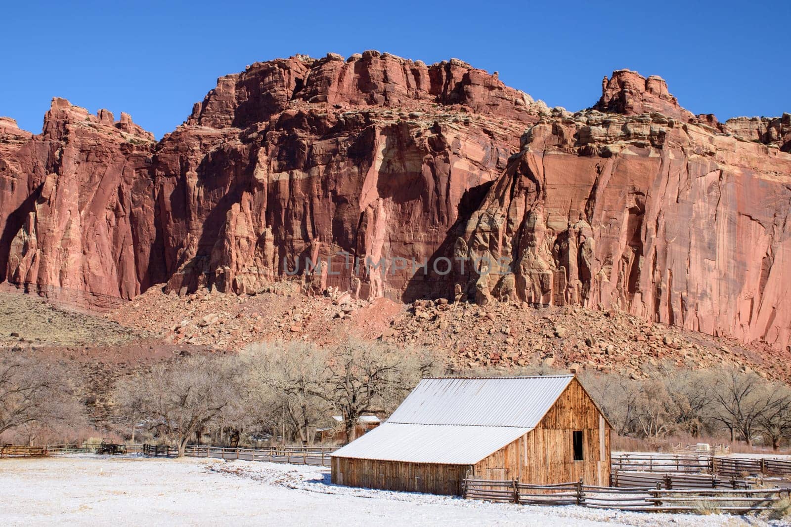 Captivating winter scene of the historic Fruita Barn at Capitol Reef National Park, Utah. Snow-covered ground, red rock cliffs, and clear blue sky create a picturesque and serene landscape - USA