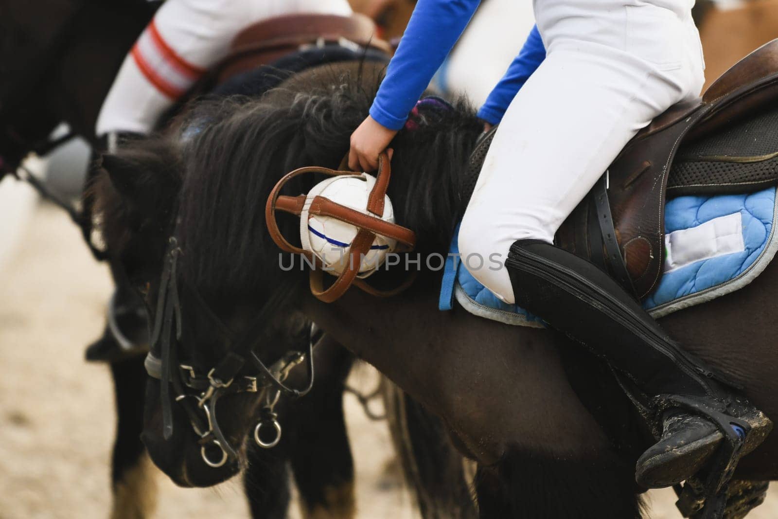 Children on horses playing horseball France