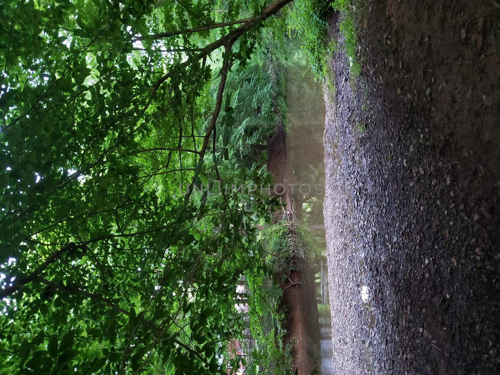 View of Simpson Creek, Bridgeport, West Virginia