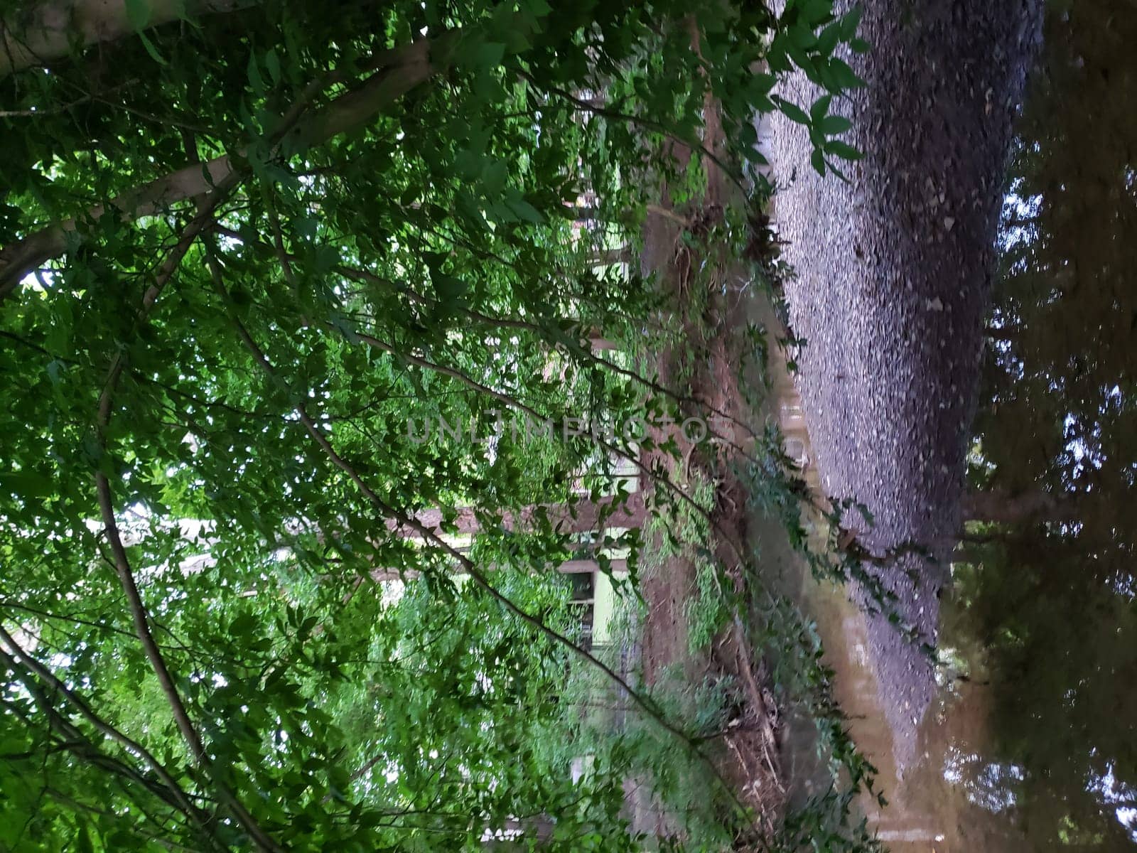 View of Simpson Creek, Bridgeport, West Virginia