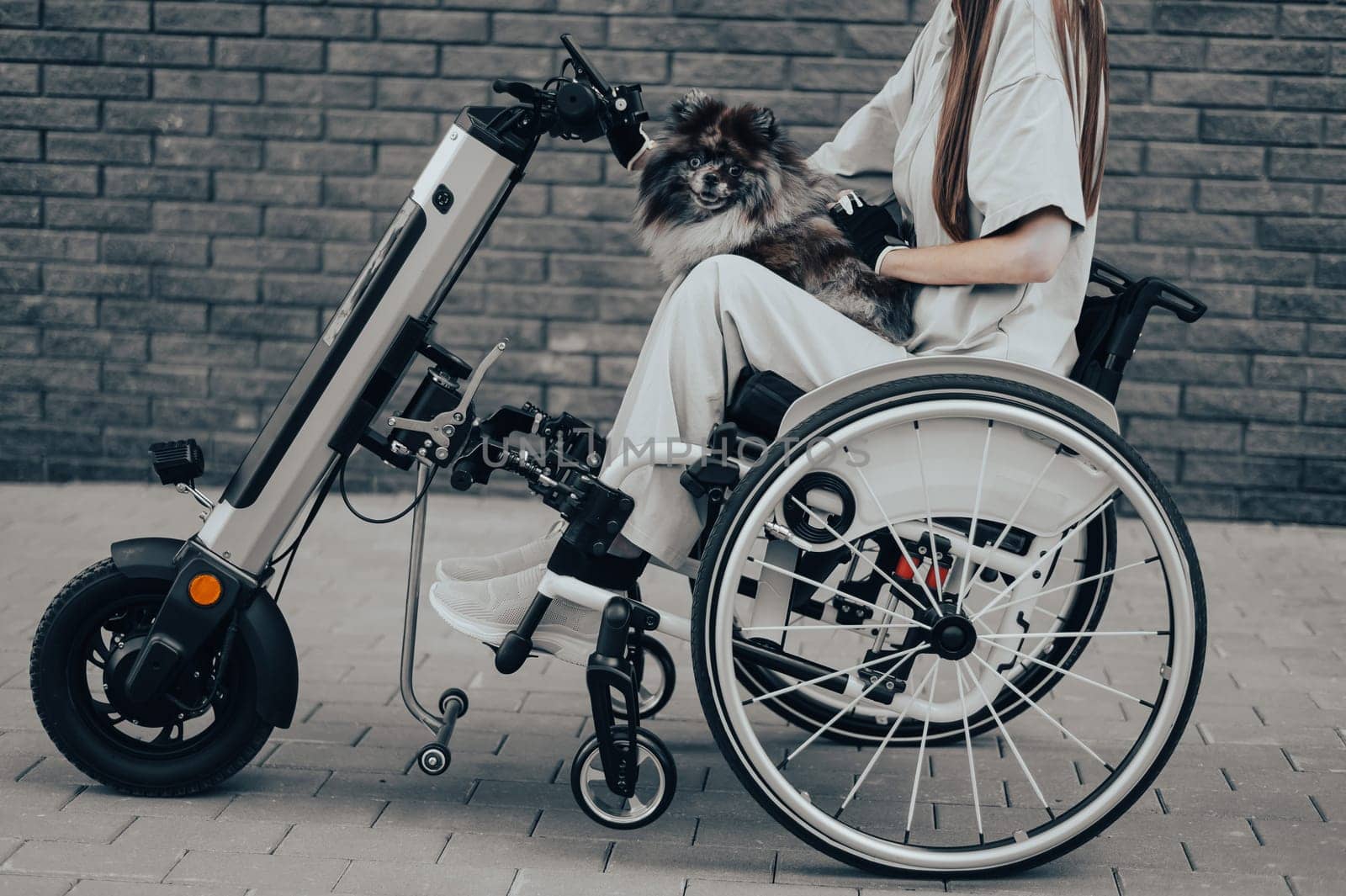 A woman in a wheelchair with a hand-control assist device carries a Spitz merle dog. Electric handbike