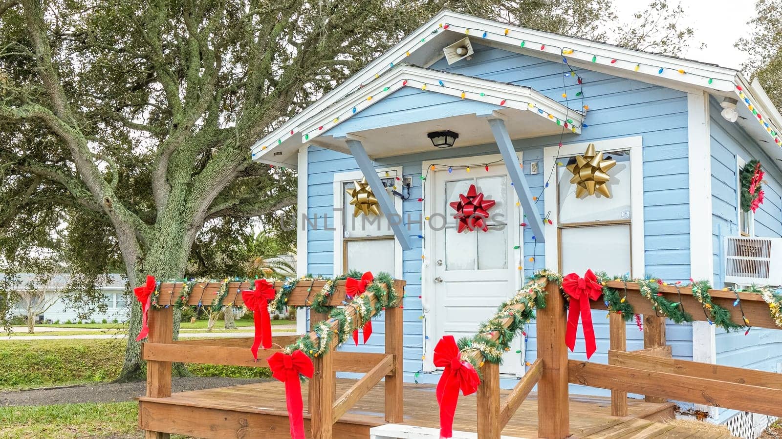 Charming Small Blue Cottage with Festive Christmas Decorations and Palm Trees in the Yard - Kenly, NC USA 03.15.2024 by JuliaDorian