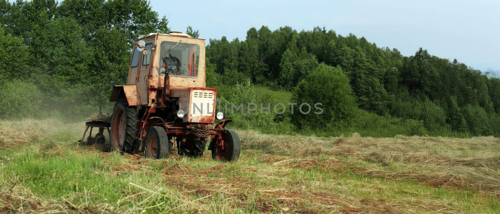 A Rusty Tractor Mows Hay in a Lush Forest Clearing by Hil