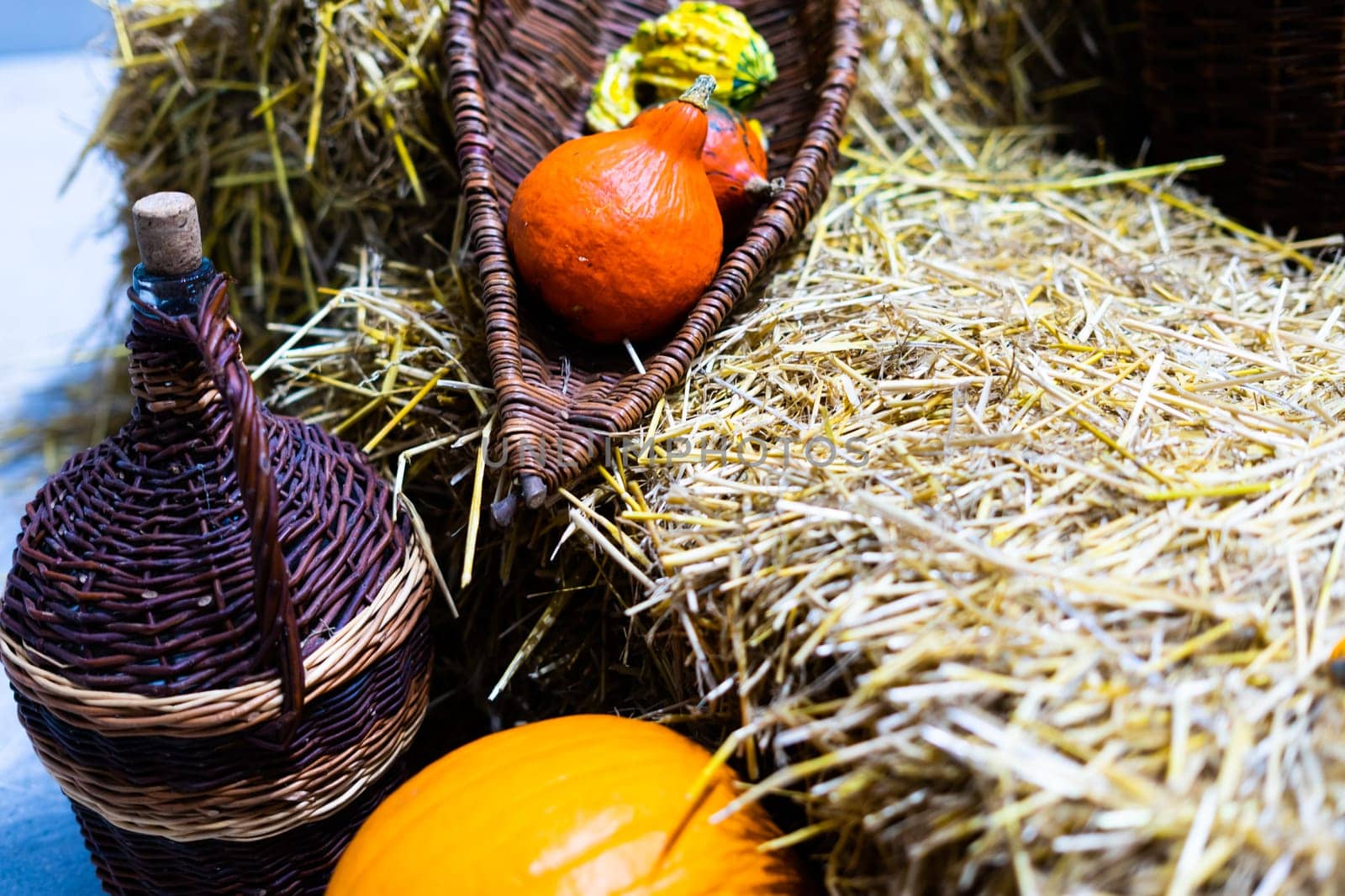 Orange halloween pumpkins on stack of hay or straw in sunny day, fall display by Zelenin