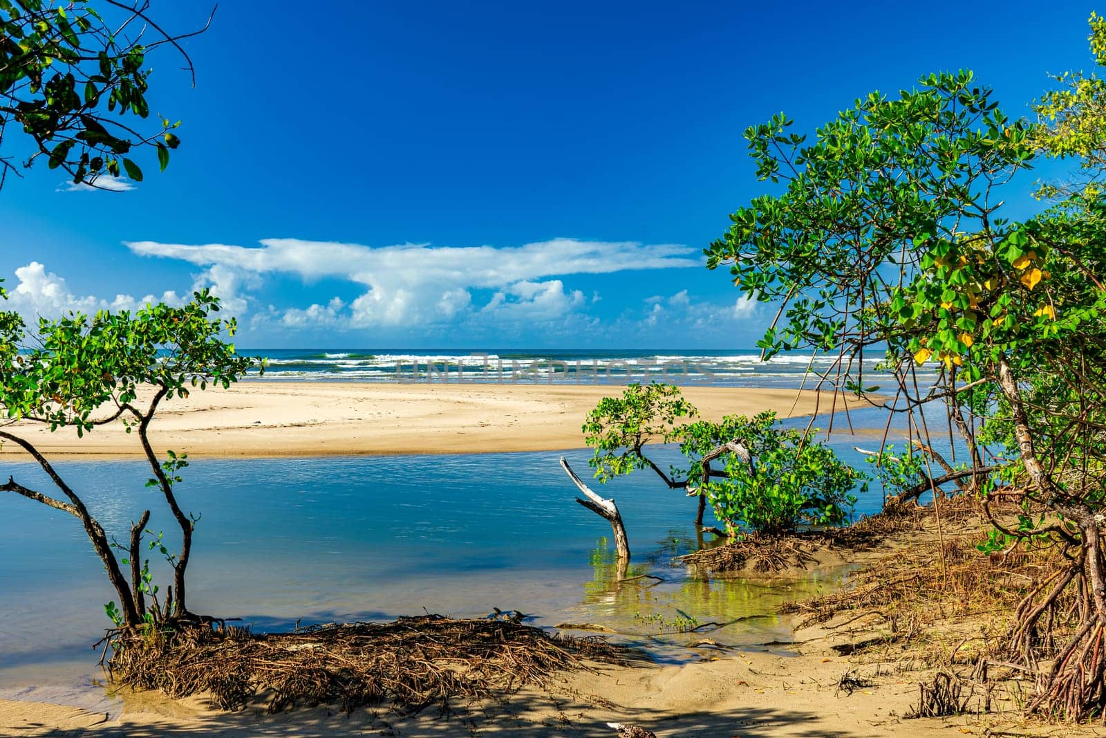 Meeting between the mangrove, river and sea at Sargi beach in Serra Grande on the south coast of Bahia