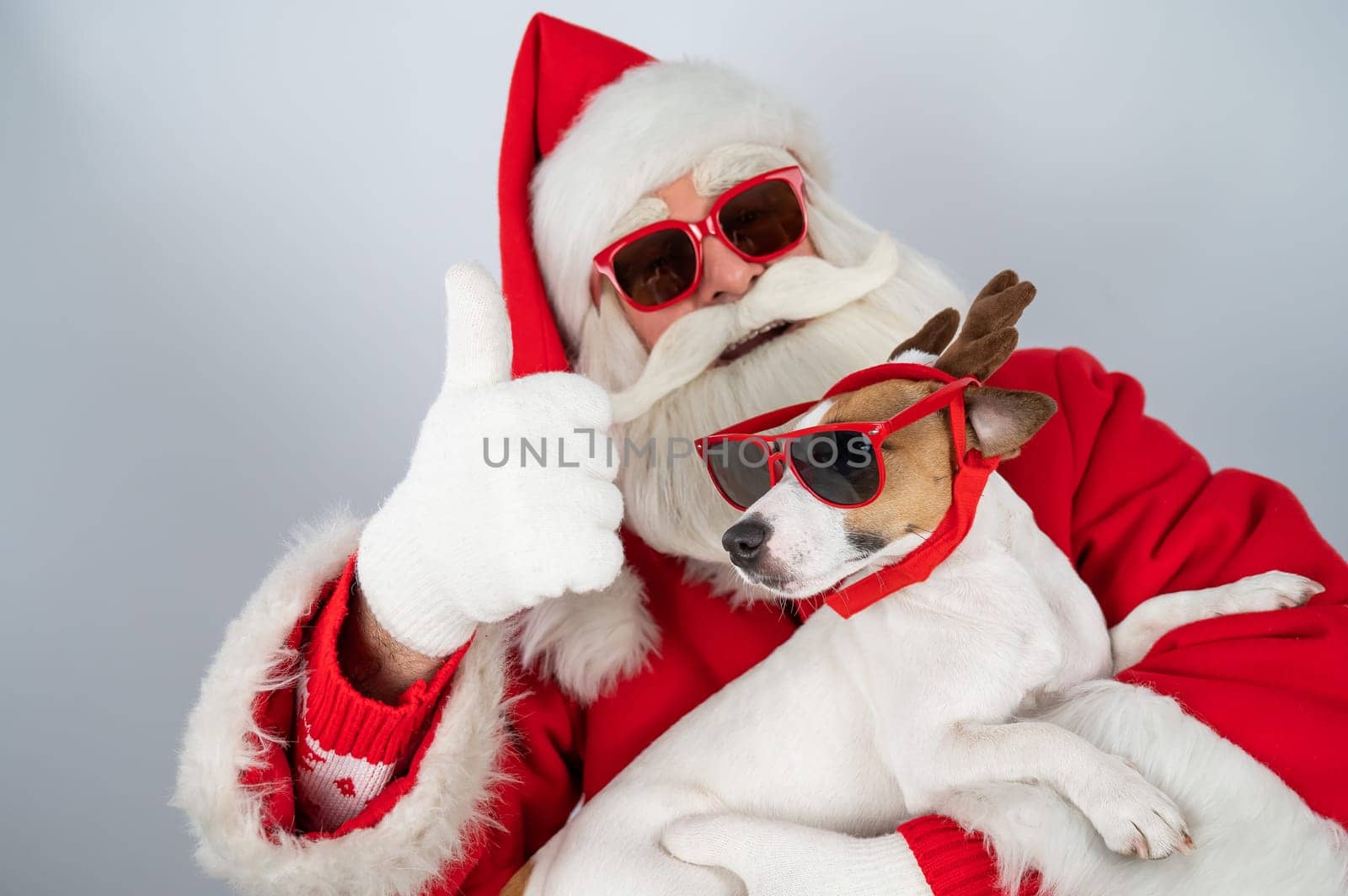 Portrait of santa claus in sunglasses and dog jack russell terrier in rudolf reindeer ears on a white background