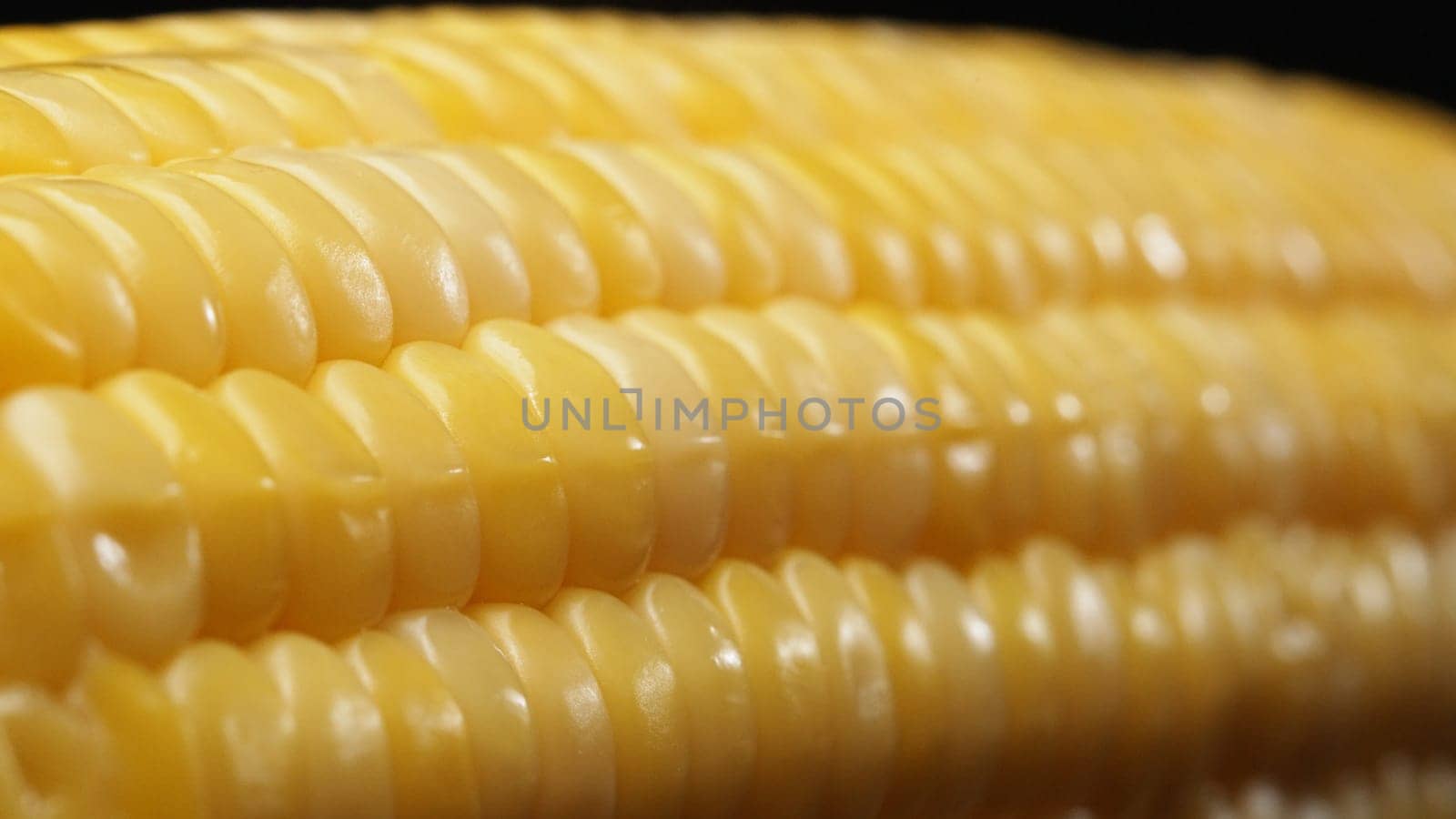 A close up view of fresh corn reveals a golden yellow kernel with against a black background. This plump and nutrient-rich gem boasts a glossy sheen, hinting at its sweet and buttery. Comestible.