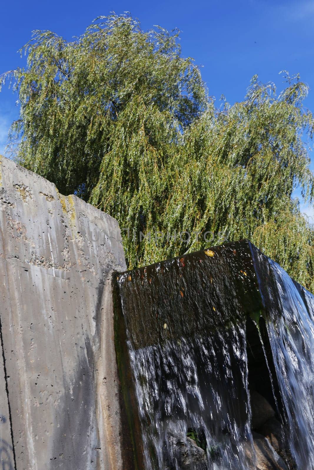 Fragment of a Waterfall against the background of a tree with green foliage on the river bank against a blue sky, view from below.