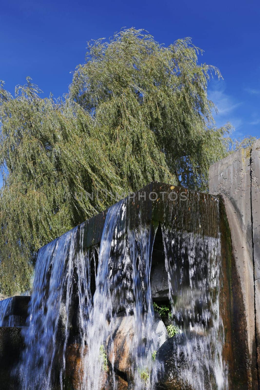 A waterfall against the background of a tree with green foliage on the river bank against a blue sky, view from below.