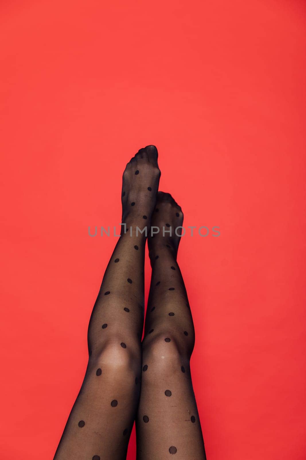 women's slender legs in black tights on red background
