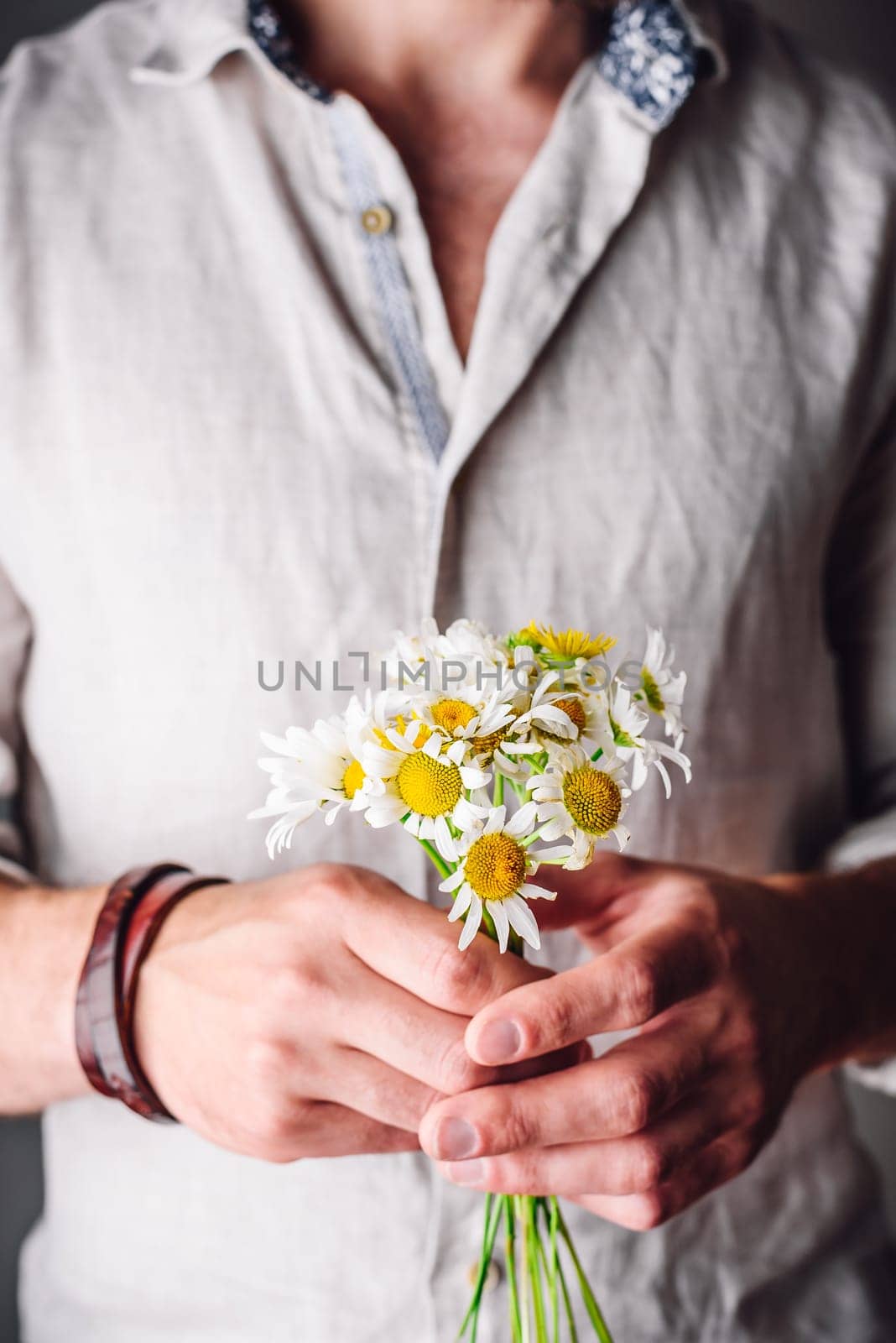 Man in Linen Shirt Holding Freshly Picked Chamomile Flowers in Hands by Seva_blsv