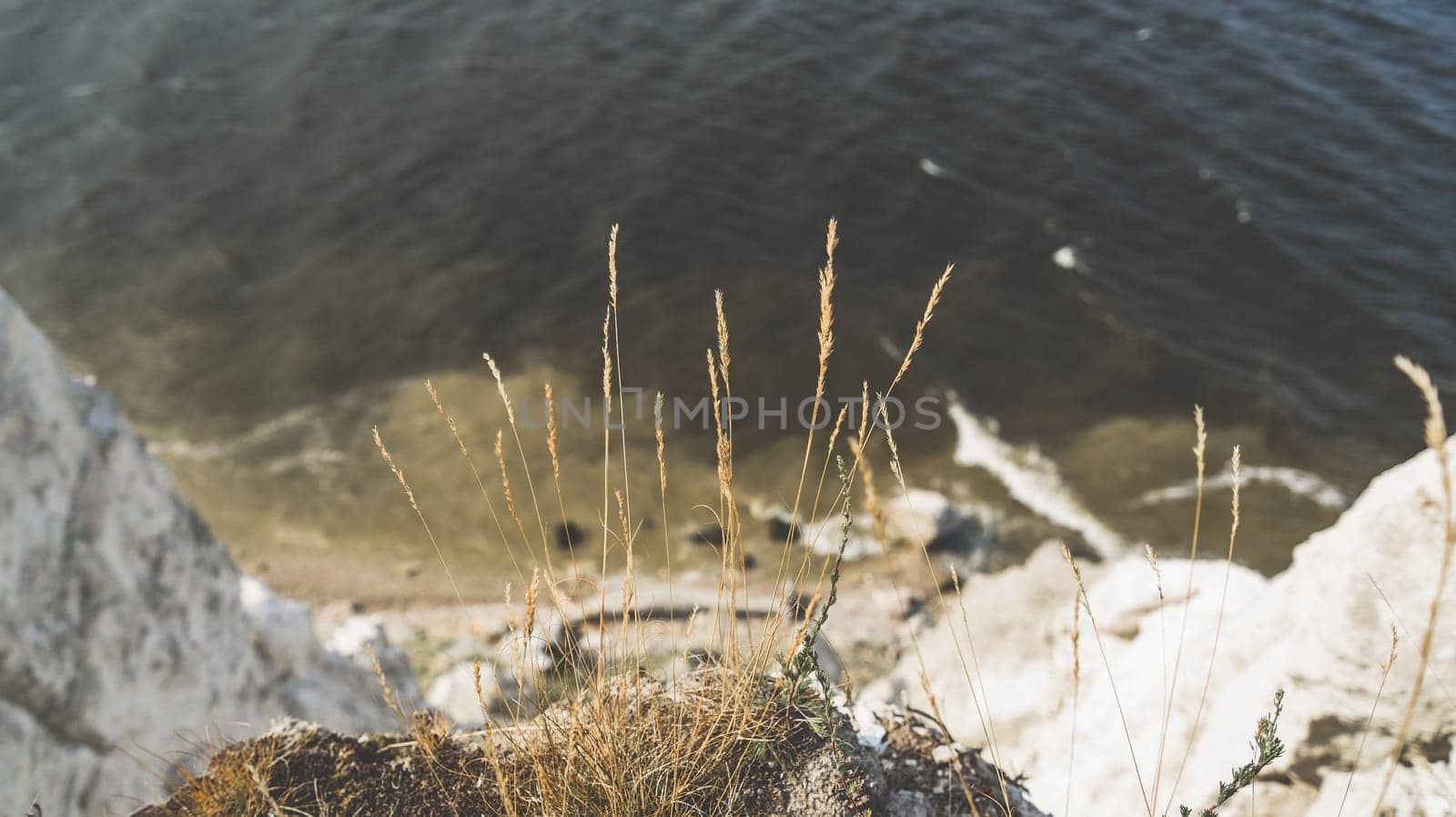 Grass on the edge of cliff. Selective focus