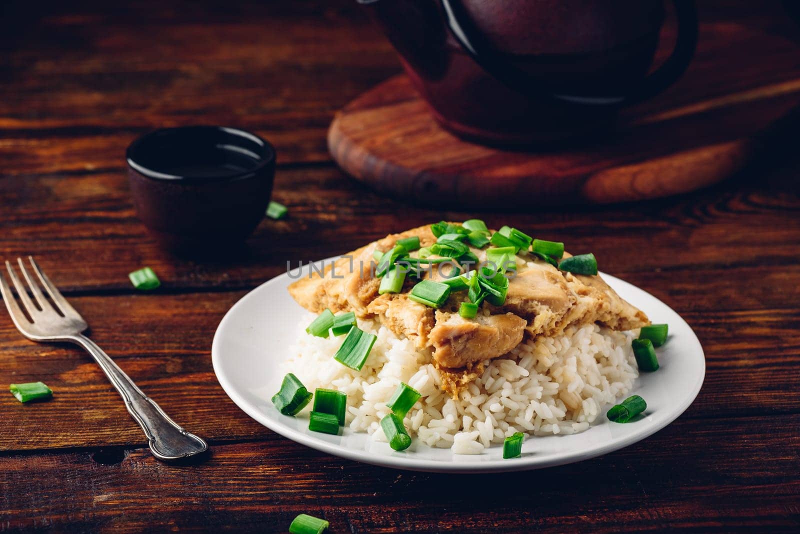 Japanese dish. Rice with scrambled eggs, chicken and green onion