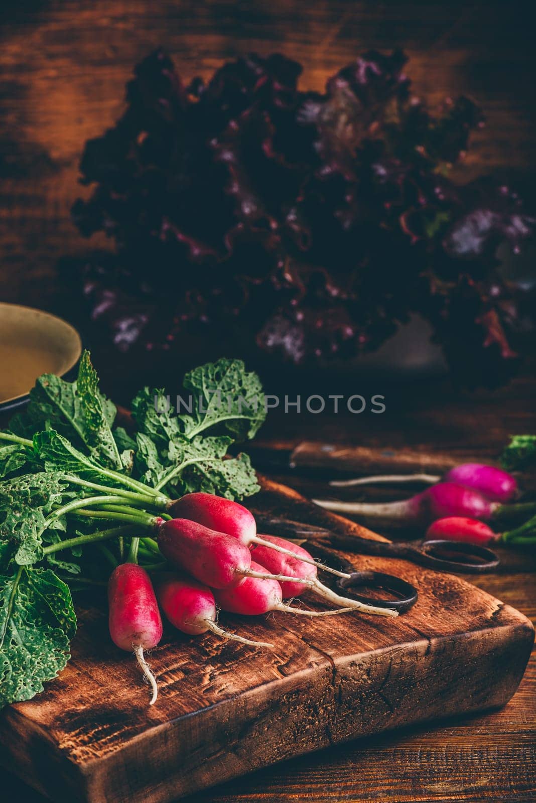 Red radish on cutting board by Seva_blsv