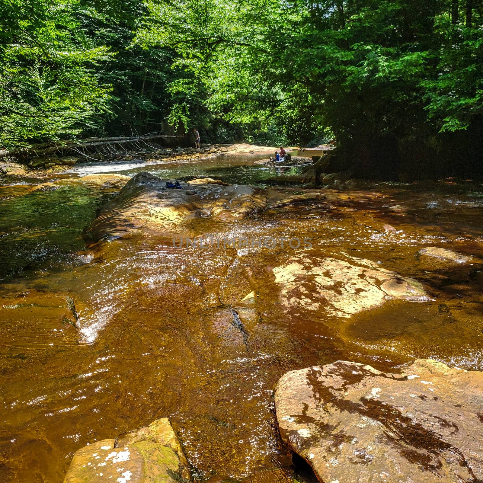 View of the Blackwater River in West Virginia