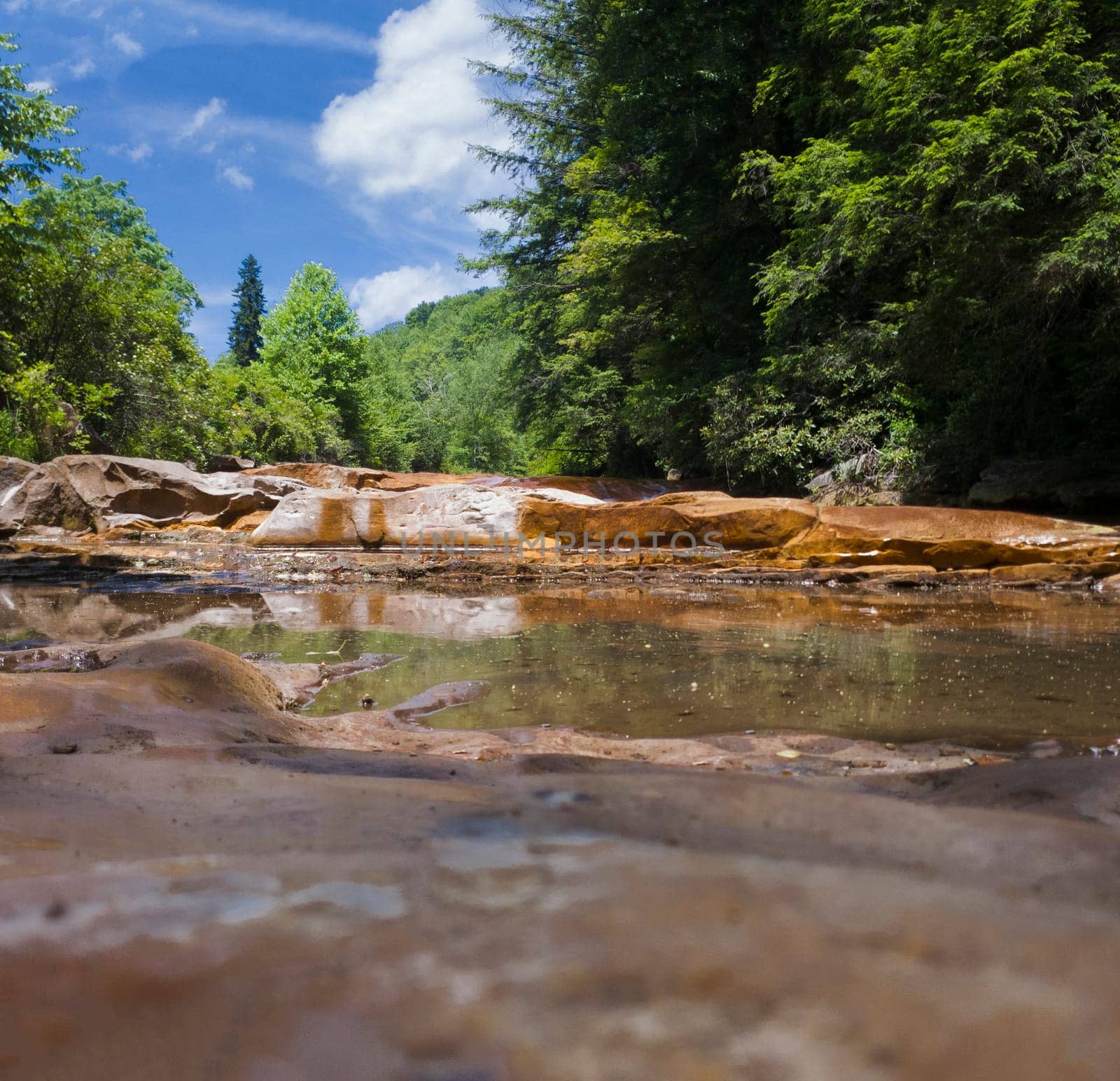View of Teresa Falls on the Blackwater River, West Virginia