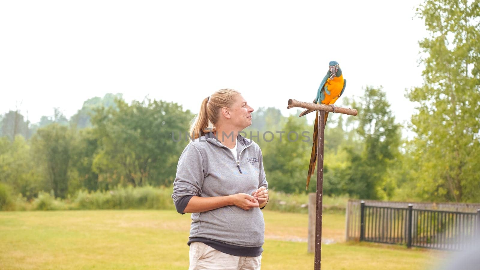 Smiling woman looking at a colorful parrot perched on a branch in front of her Toronto ON Canada - 22.12.22.