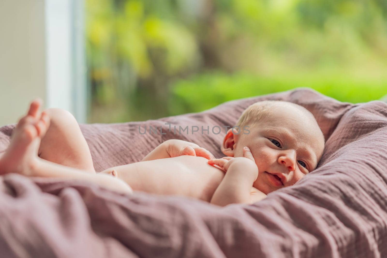 A newborn lies in his cozy cocoon on muslin swaddles. This serene moment captures the comfort and security of a newborn, highlighting the gentle care and nurturing environment.