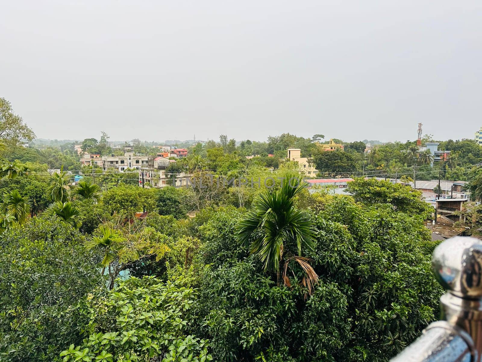 A view from a rooftop in Bangladesh, showcasing a lush canopy of trees that obscure a distant cityscape. The houses in the background are visible through the greenery, providing a glimpse into the citys urban landscape. The sky is overcast with a faint gray, adding to the serene and tranquil atmosphere.