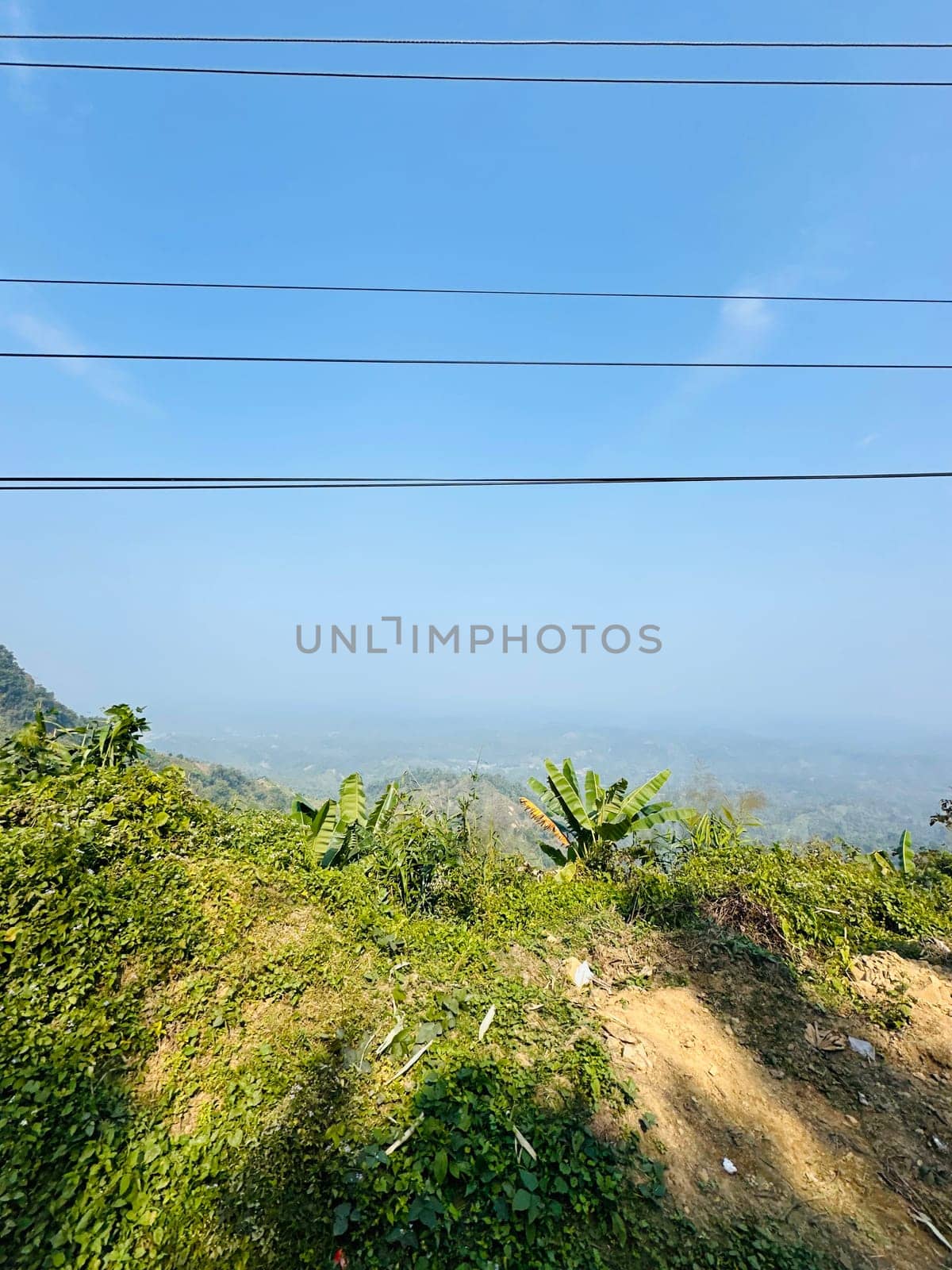 A scenic view from a hillside, showcasing lush greenery and a hazy landscape stretching out in the distance. Several power lines run across the clear blue sky above. The scene is bathed in the soft light of a sunny day.