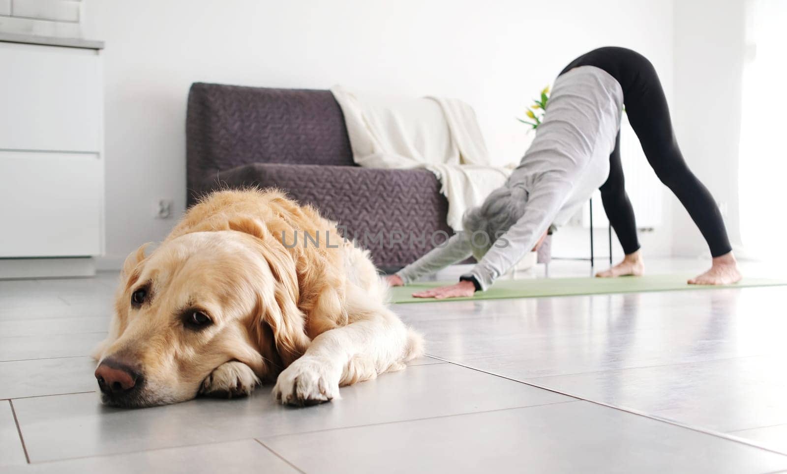 An Elderly Woman Doing A Downward Facing Yoga Pose At Home, While Her Golden Retriever Dog Lies On The Floor