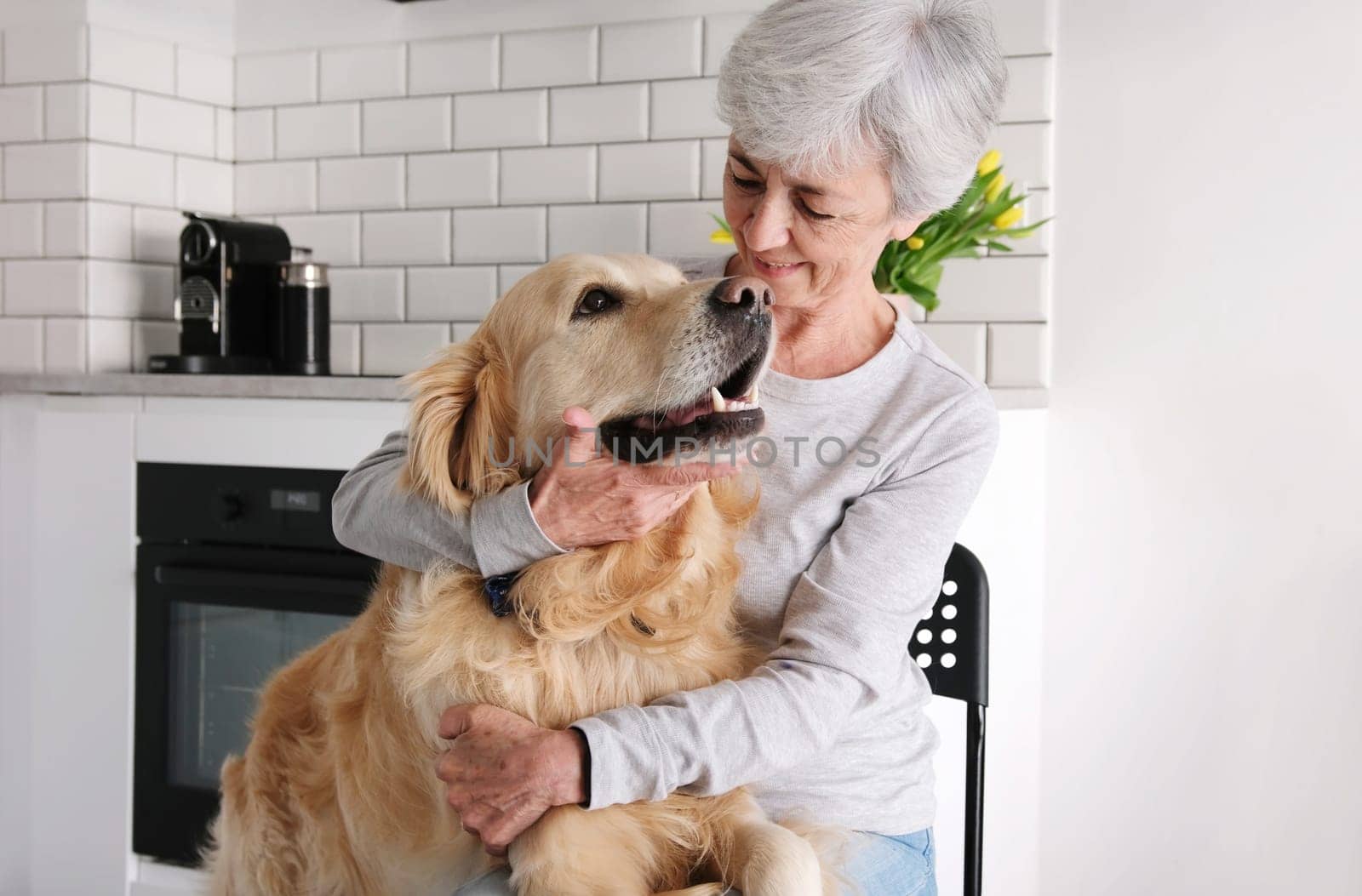 Appealing Elderly Woman With Grey Hair Playing And Cuddling Her Pet - A Lovely Golden Retriever Dog