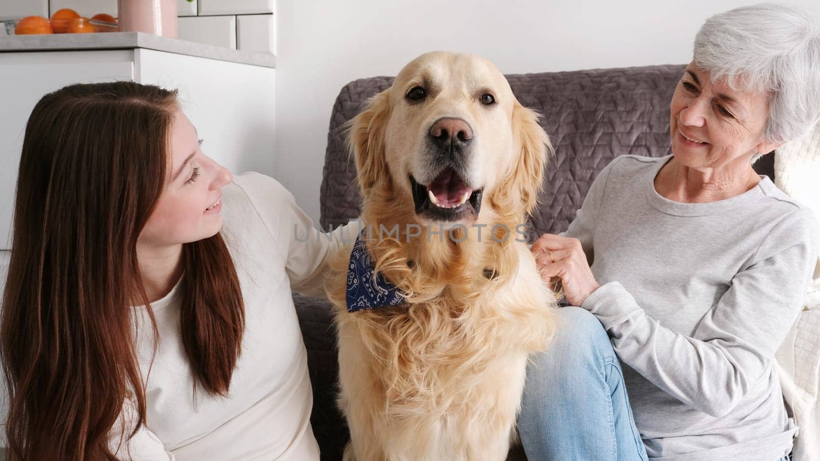 Old Lady With Her Granddaughter Softly Petting A Cute Golden Retriever Dog