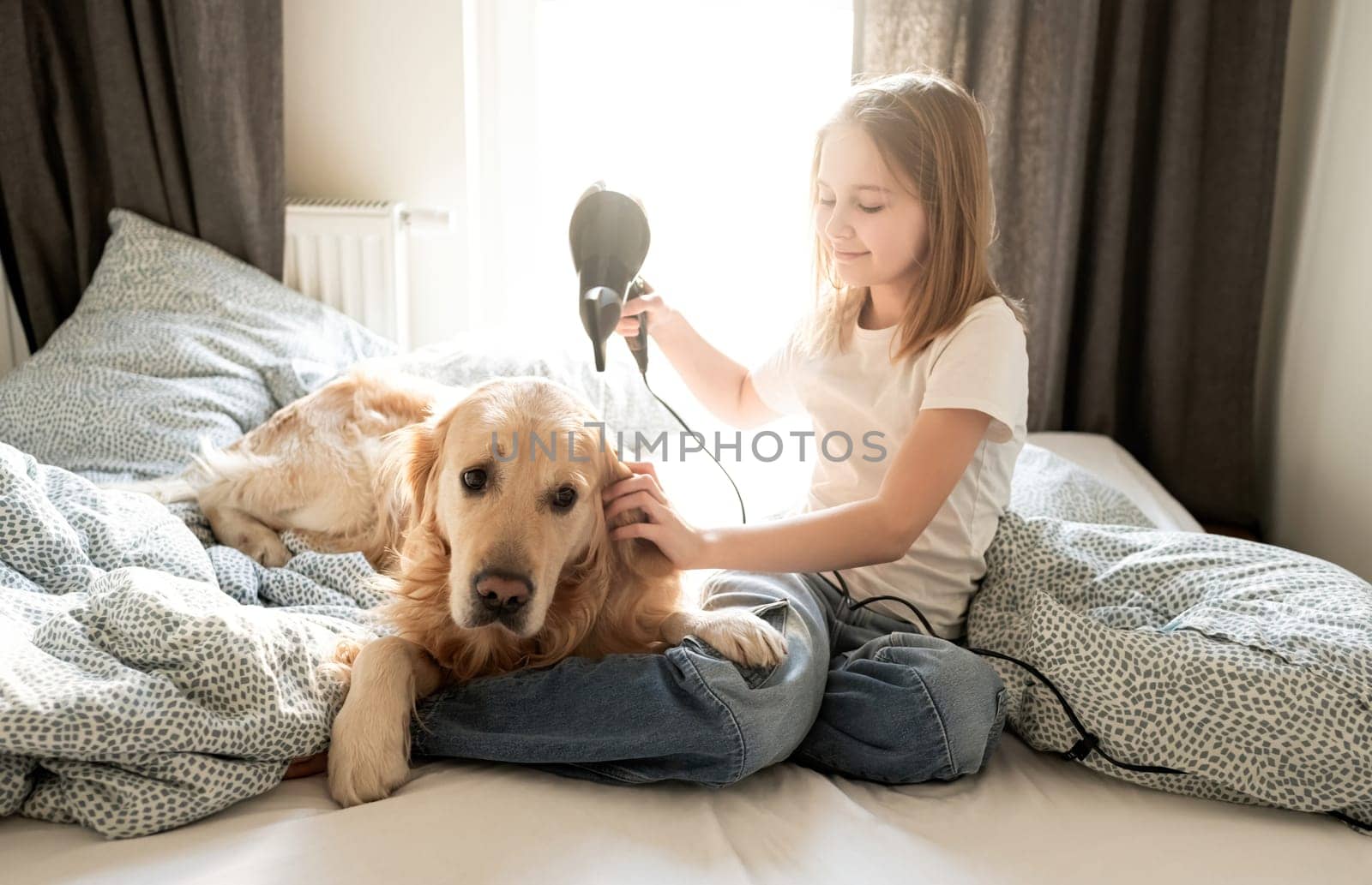 Happy Little Girl Drying Herself And Golden Retriever Dog A With A Hairdryer On A Bed