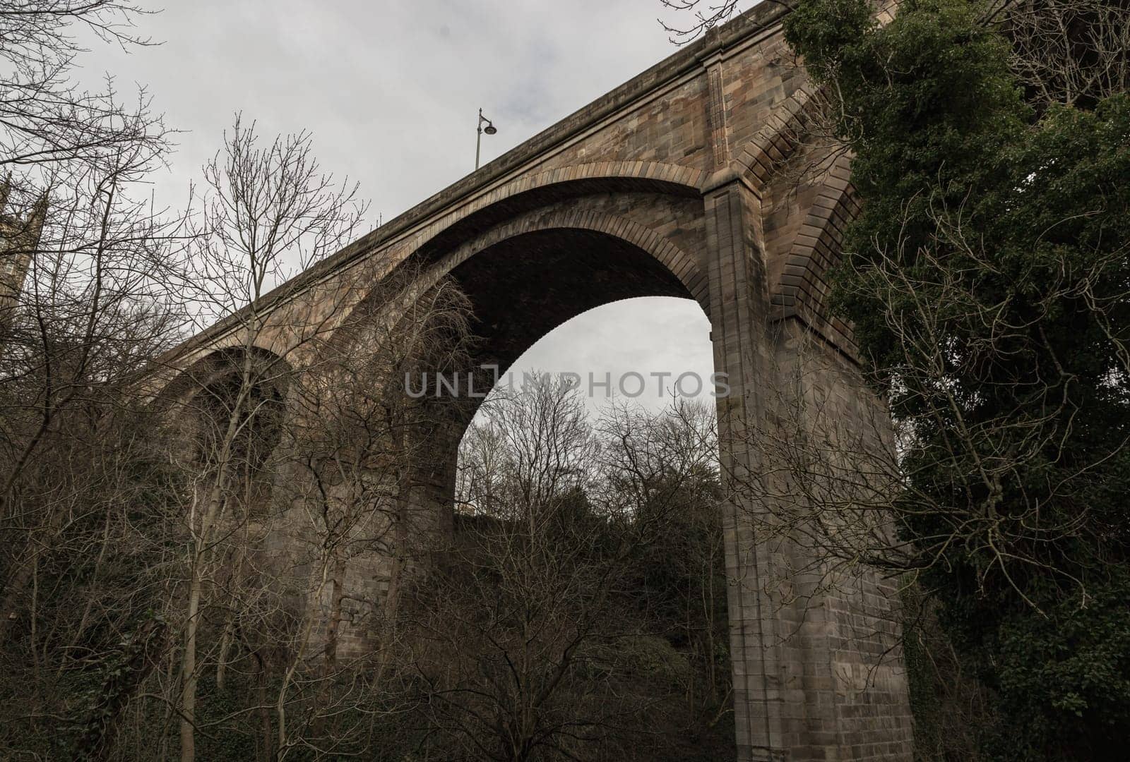Edinburgh, Scotland - Jan 16, 2024 - Looking up at the dean bridge is An old medieval bridge among tree branches at Dean village. Countryside and woodland landscape, Space for text, Selective focus.