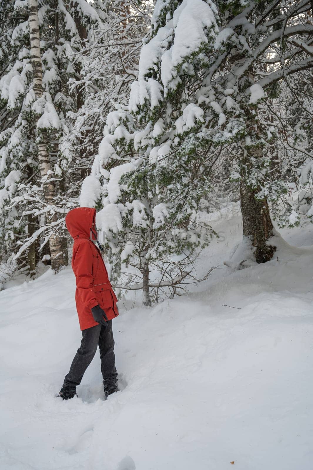 Portrait of teenage boy walking and having fun in winter snowing forest