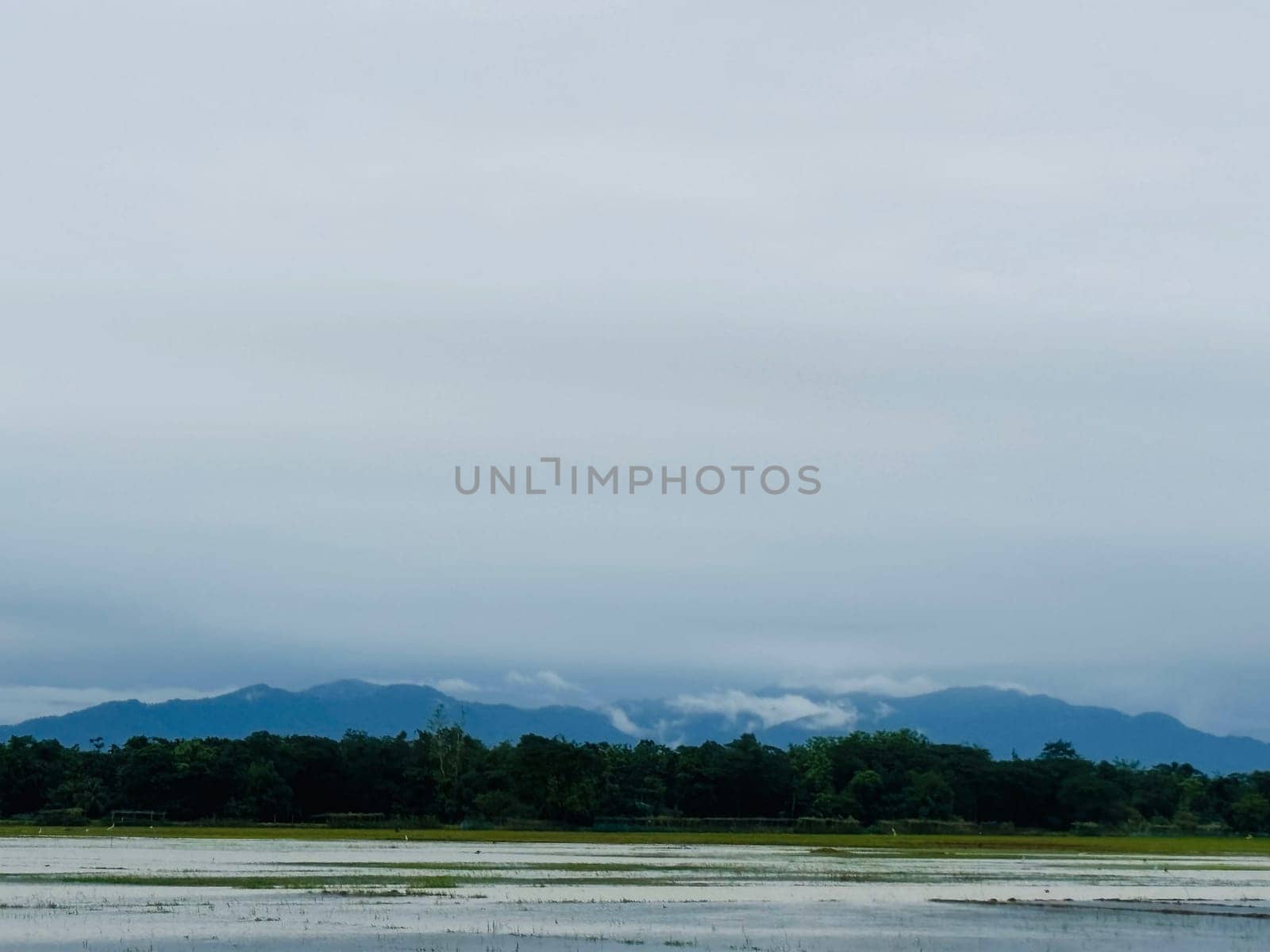 A scenic landscape image capturing a tranquil lake with mountains in the distance. The sky is mostly cloudy, with the morning sun casting a soft, diffused light. Lush green trees line the shore of the lake, adding a touch of vibrant color to the scene. The overall atmosphere is serene and peaceful.