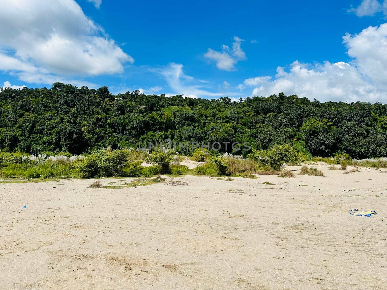 The image showcases a beautiful sandy beach with lush green foliage in the background. The sky is a bright blue with fluffy white clouds, creating a serene and inviting atmosphere.