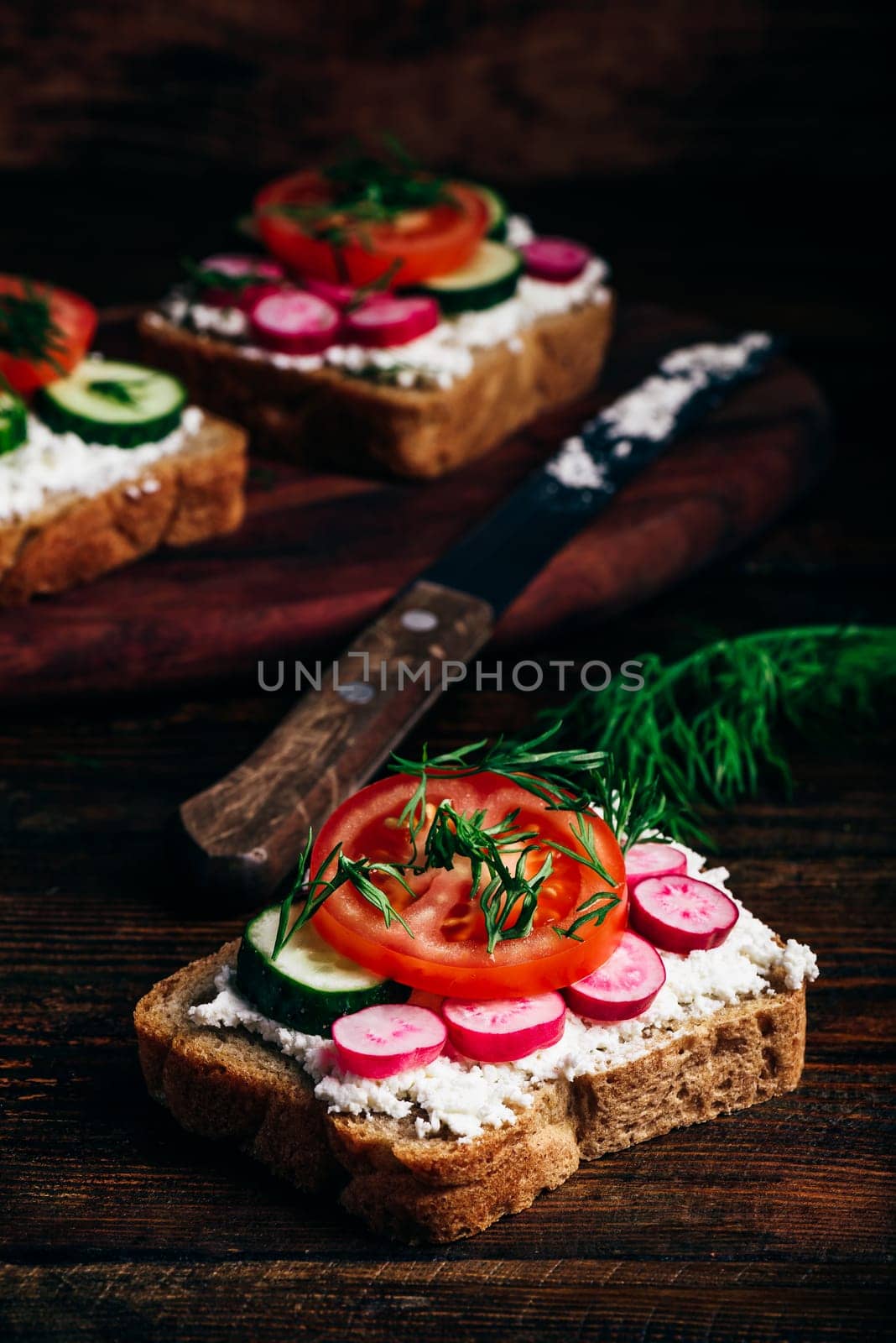 Vegetarian sandwiches with fresh sliced tomatoes, cucumber and radish