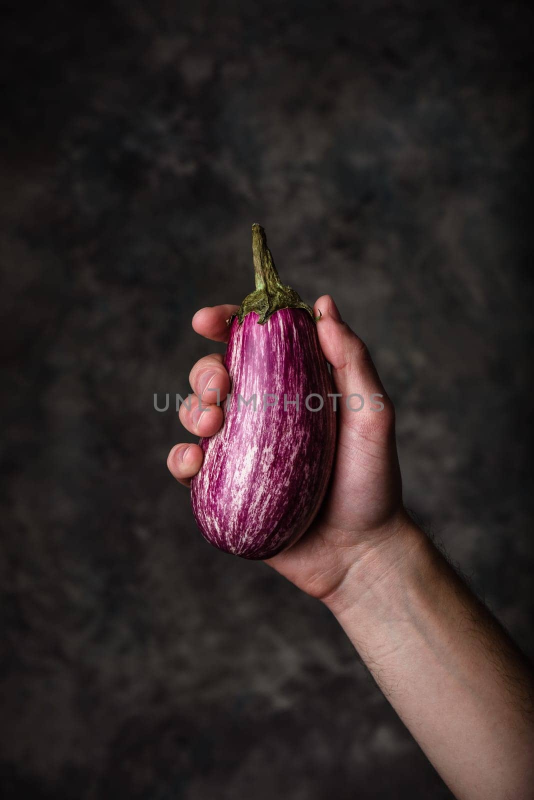 Fresh purple eggplant in hand on dark cconcrete background