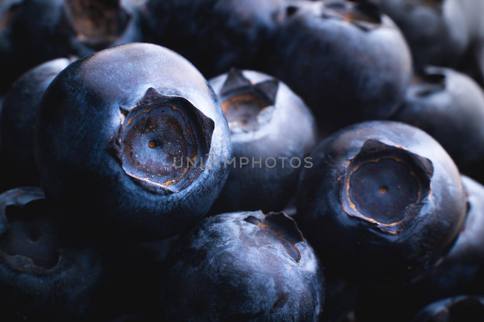 Blueberry berry background. Macro. Fresh blueberry background. Ripe blueberries. Background of freshly picked blueberries, close-up. Blue berries close-up, macro. by yanik88