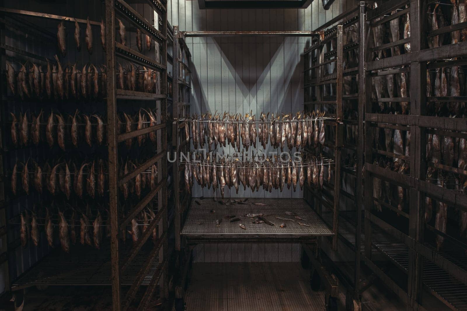 Smoked fish production concept: smoked fish in smokehouse box.
